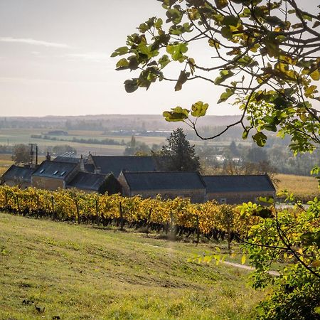 Domaine Beausejour Bed & Breakfast Panzoult Exterior foto