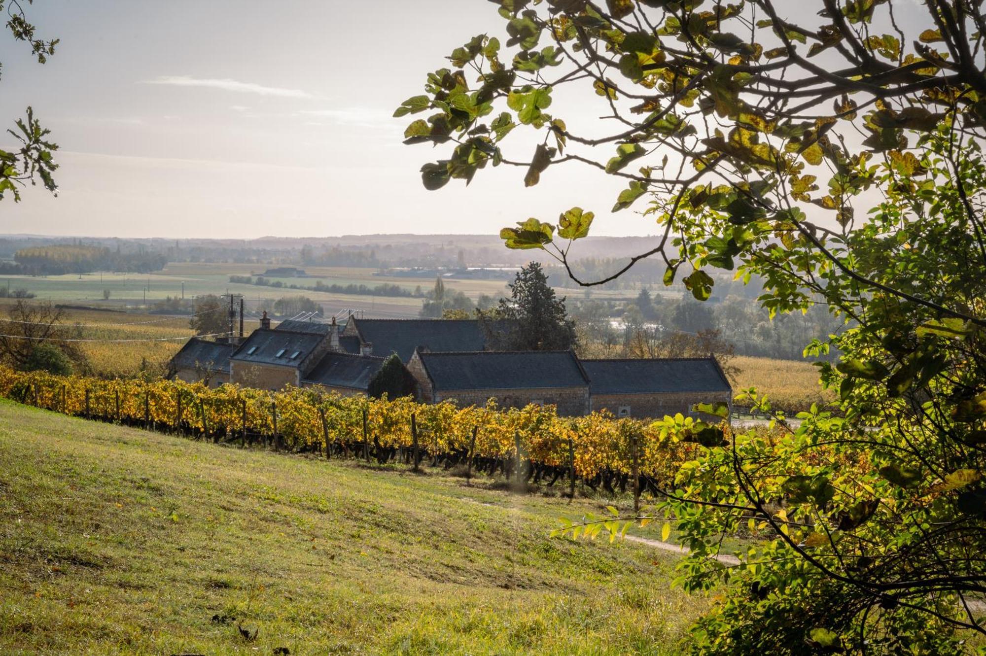 Domaine Beausejour Bed & Breakfast Panzoult Exterior foto