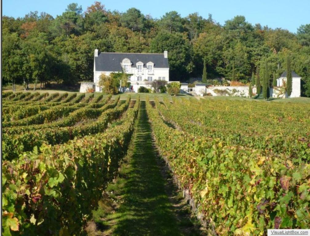 Domaine Beausejour Bed & Breakfast Panzoult Exterior foto