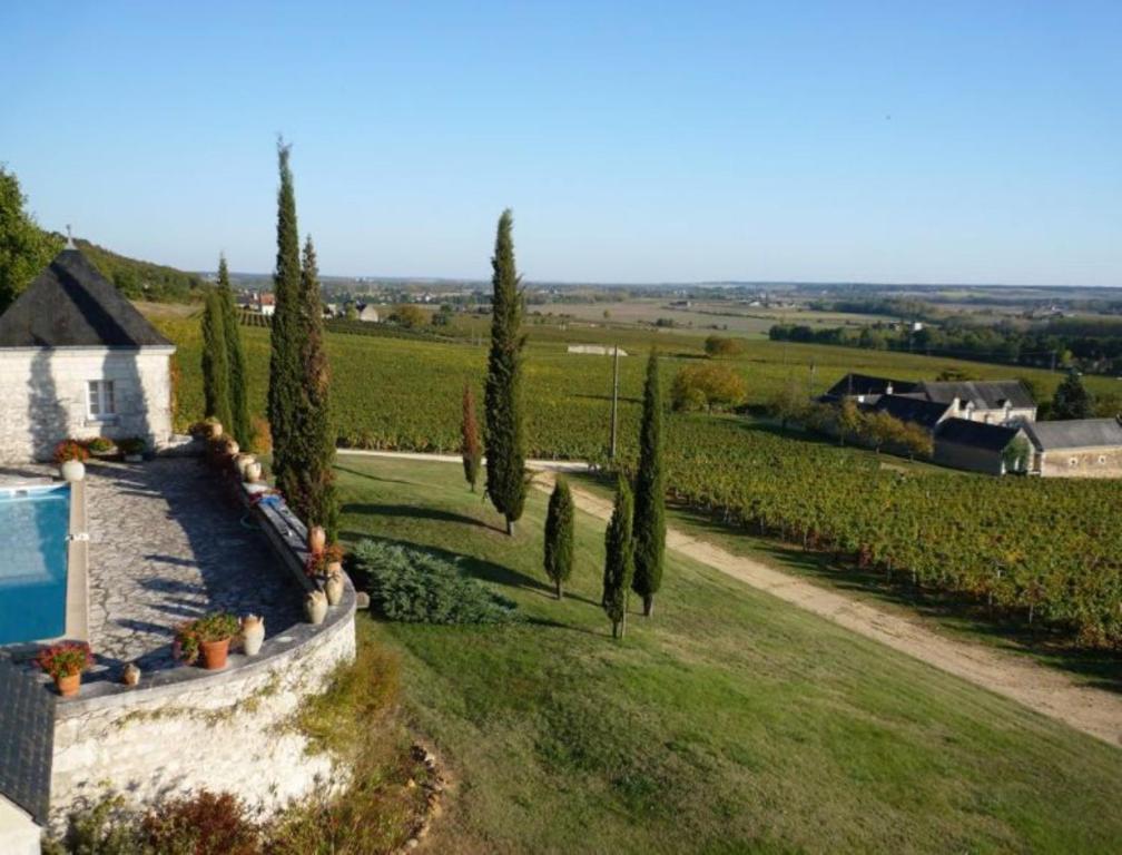 Domaine Beausejour Bed & Breakfast Panzoult Exterior foto